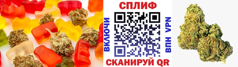 Купить закладки  Светлогорск  Еда ТГК марихуана 