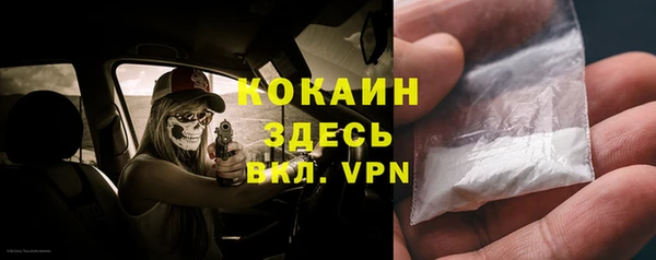 дживик Елизово