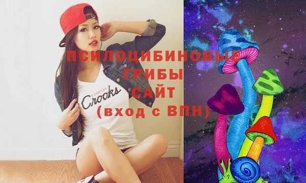 дживик Елизово