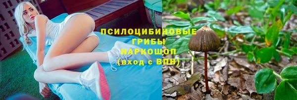 дживик Елизово