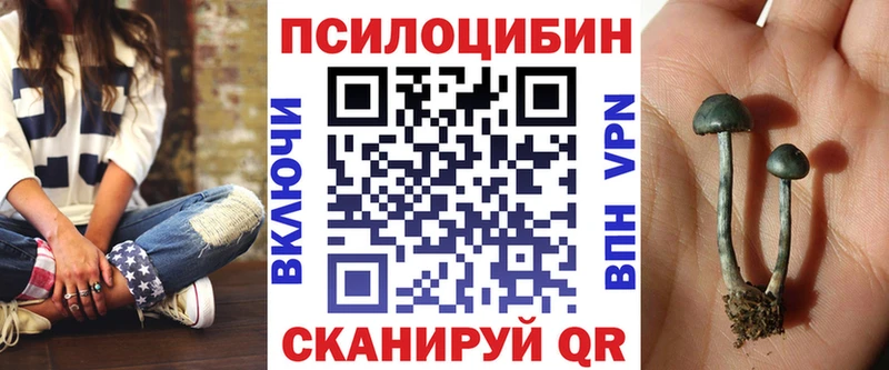 Купить где  Светлогорск  Псилоцибиновые грибы Psilocybe 